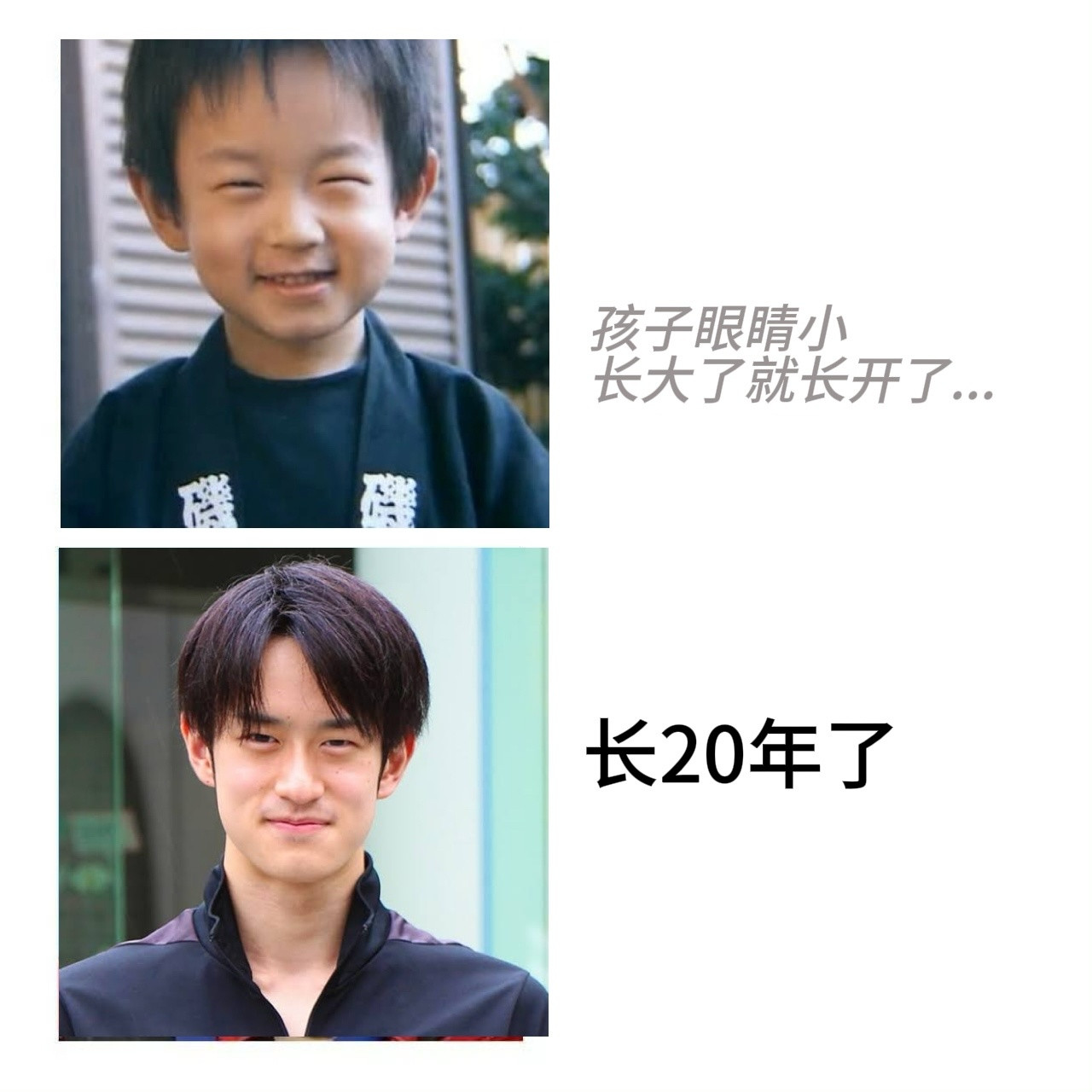 12352【鳄鱼】原来这就是上大学每天都能睡觉的秘诀