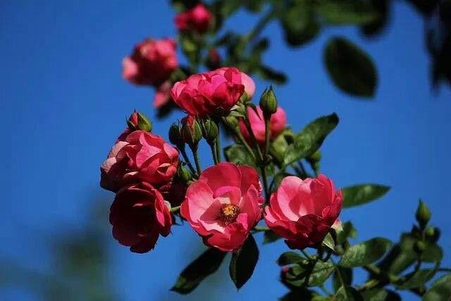 如今的保姆已不是为雇主服务的了，你去家政公司雇保姆，说的都挺好，雇回家里就不是她