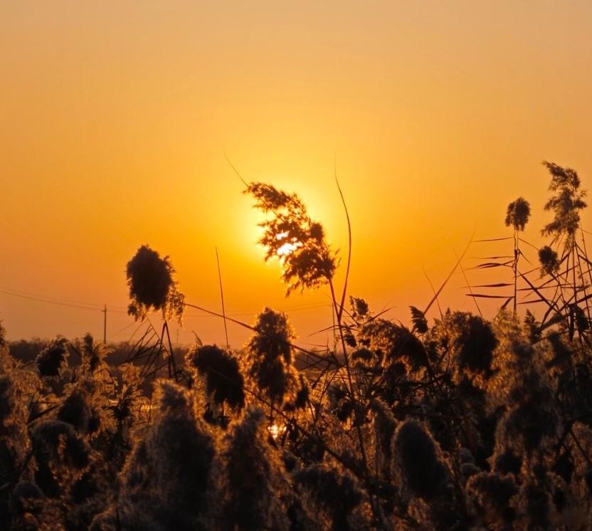 人生，没有什么不可放下。来这世上走一程，什么都带不走，所以，看破吧，放下吧。