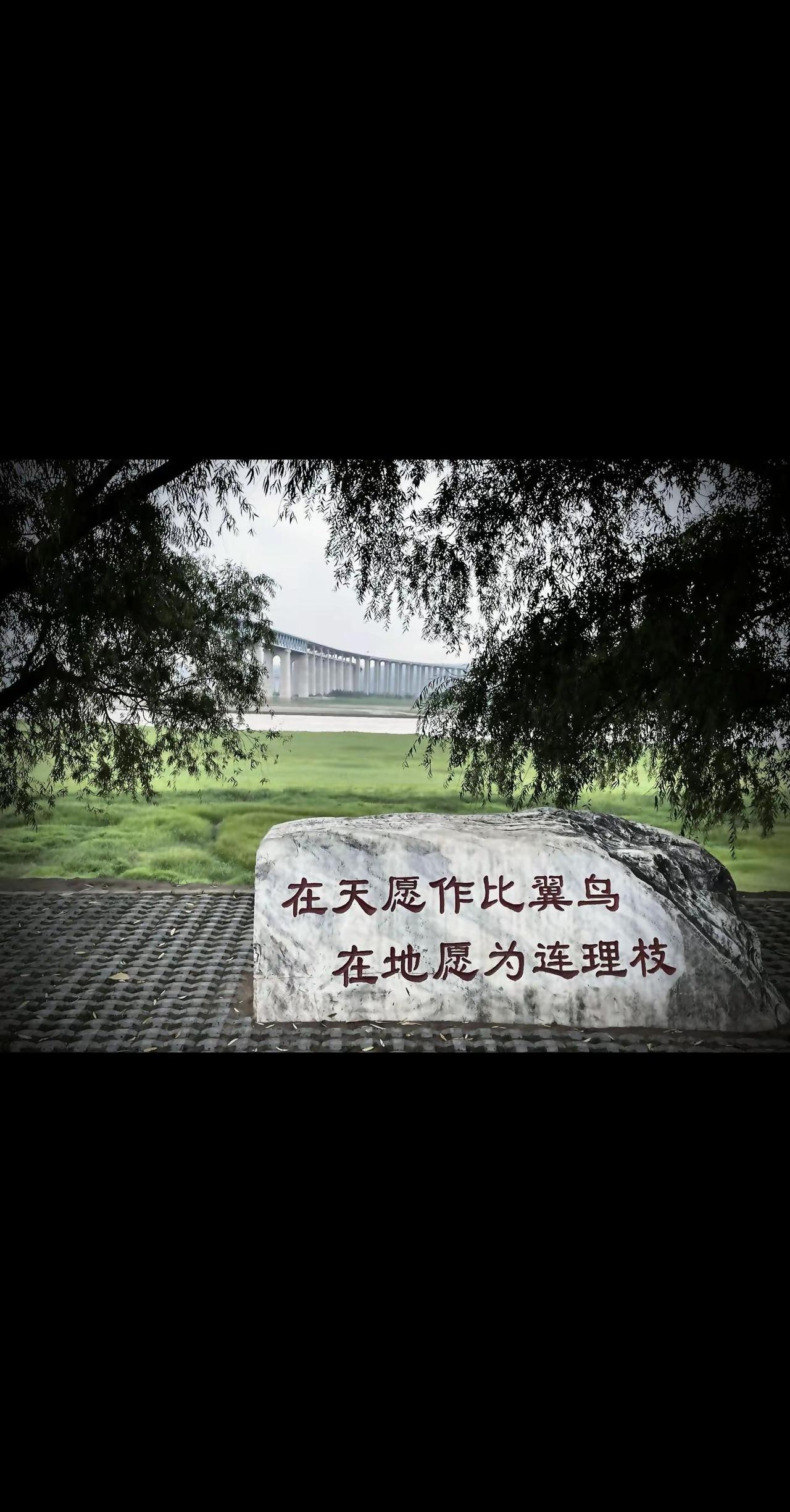在天愿作比翼鸟在地愿为连理枝。学习历史传播正能量树立正确历史观