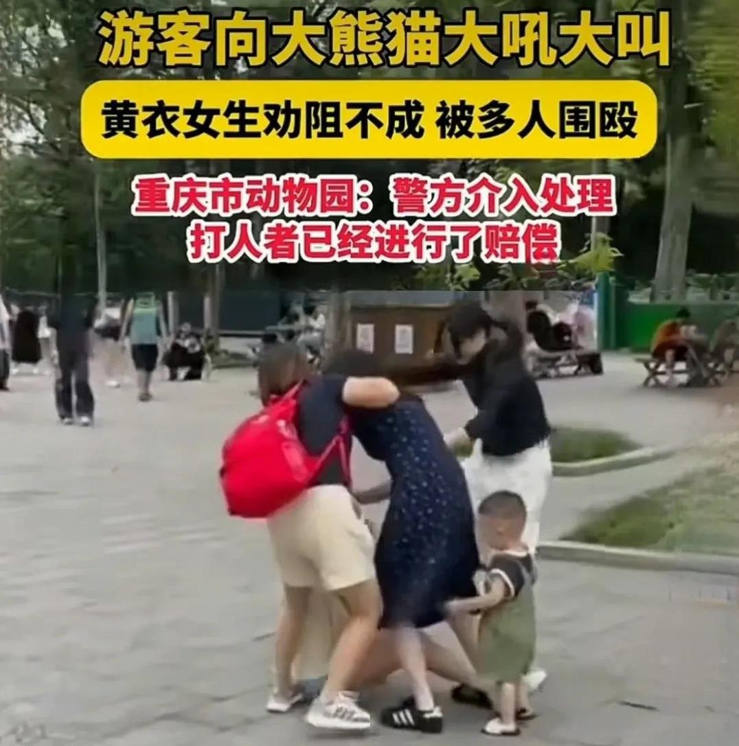 近日，在重庆动物园发生了一起令人愤慨的事件。当时，熊猫正在午休，却有游客对着它大