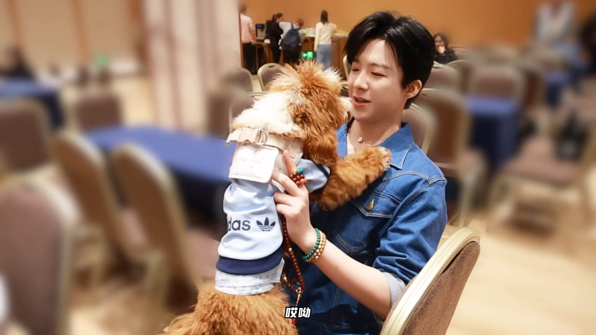 呆米，你哥在外面被别的狗rua了