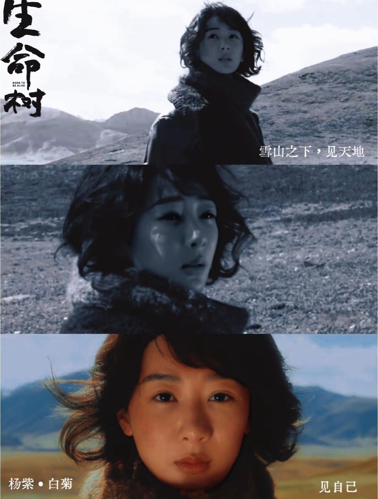 终于有国产剧拍了高原反盗猎了天呐，杨紫竟然演出了厚重感和悲悯感，天赋型演员！生命