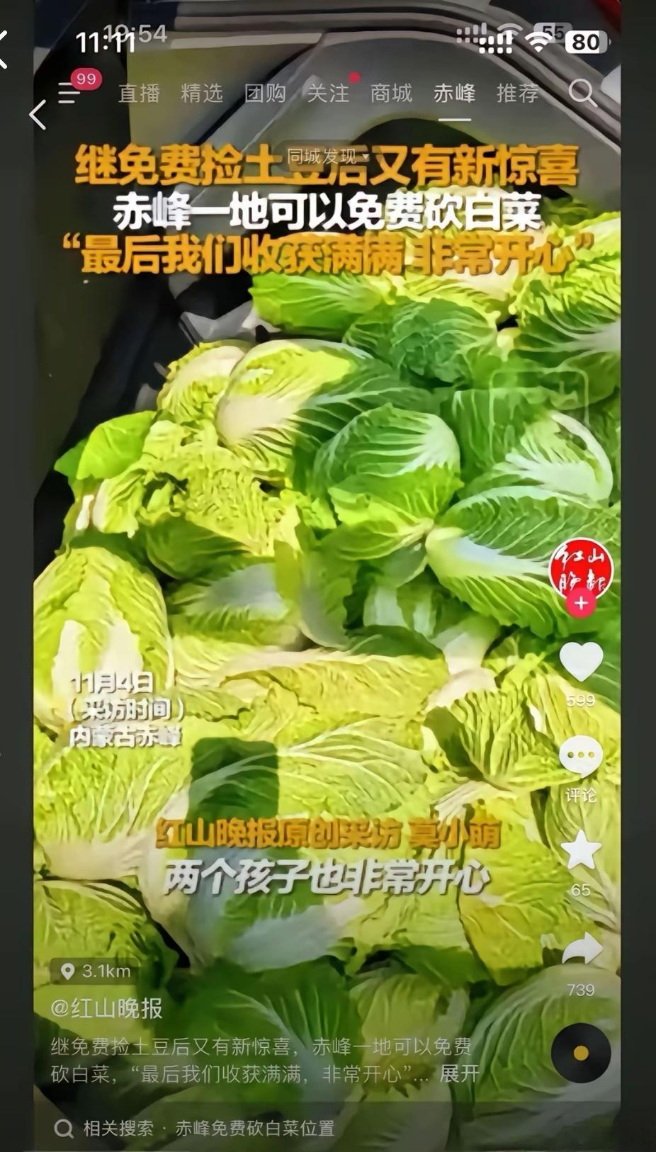 内蒙古赤峰，有人造谣种植户白菜免费割，赤峰的官媒“红山晚报”（赤峰日报社旗下）未