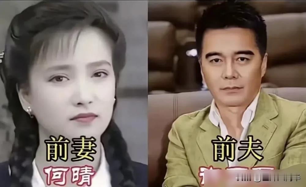 倪萍、何晴、殷桃……7位女明星的前夫，一个比一个有名！倪萍那杯酒，喝得太苦了！
