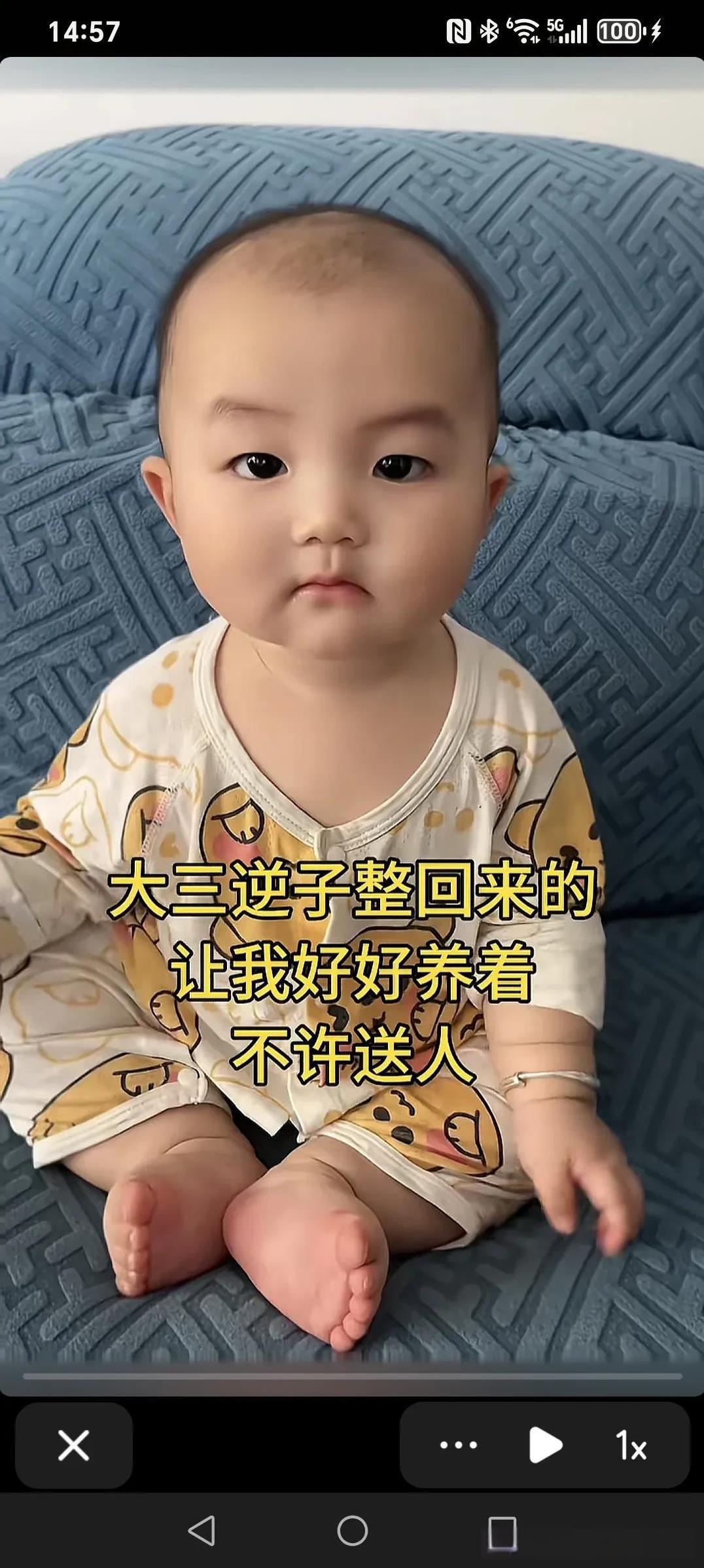 大三逆子整回来的，让我好好养着，不许送人～惊不惊喜，意不意外。大三儿子很争气