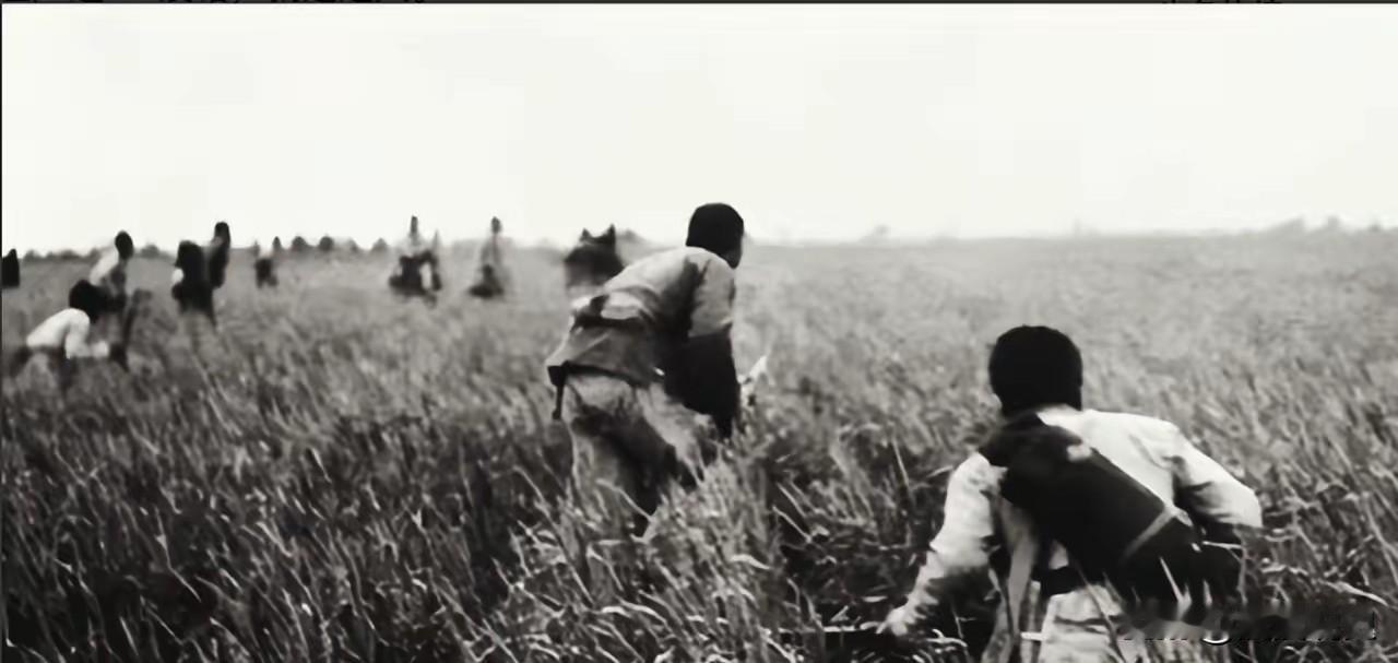 1939年，八路军张智忠，护送黄金途中，遭敌突袭时，带一位战士突围。不料，战士见