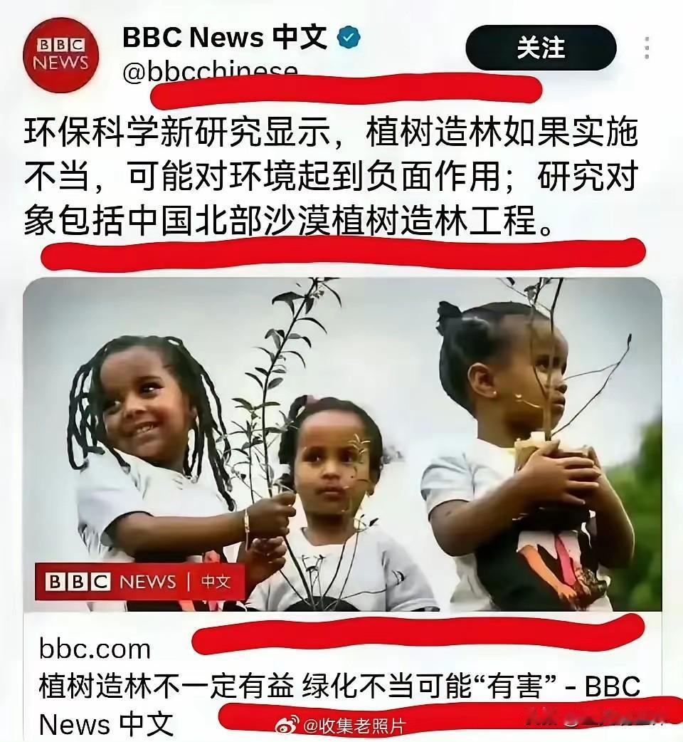 英国BBC又出来搞事了环保科学新研究发现:植树造林实施不当，可能都环境造成负面