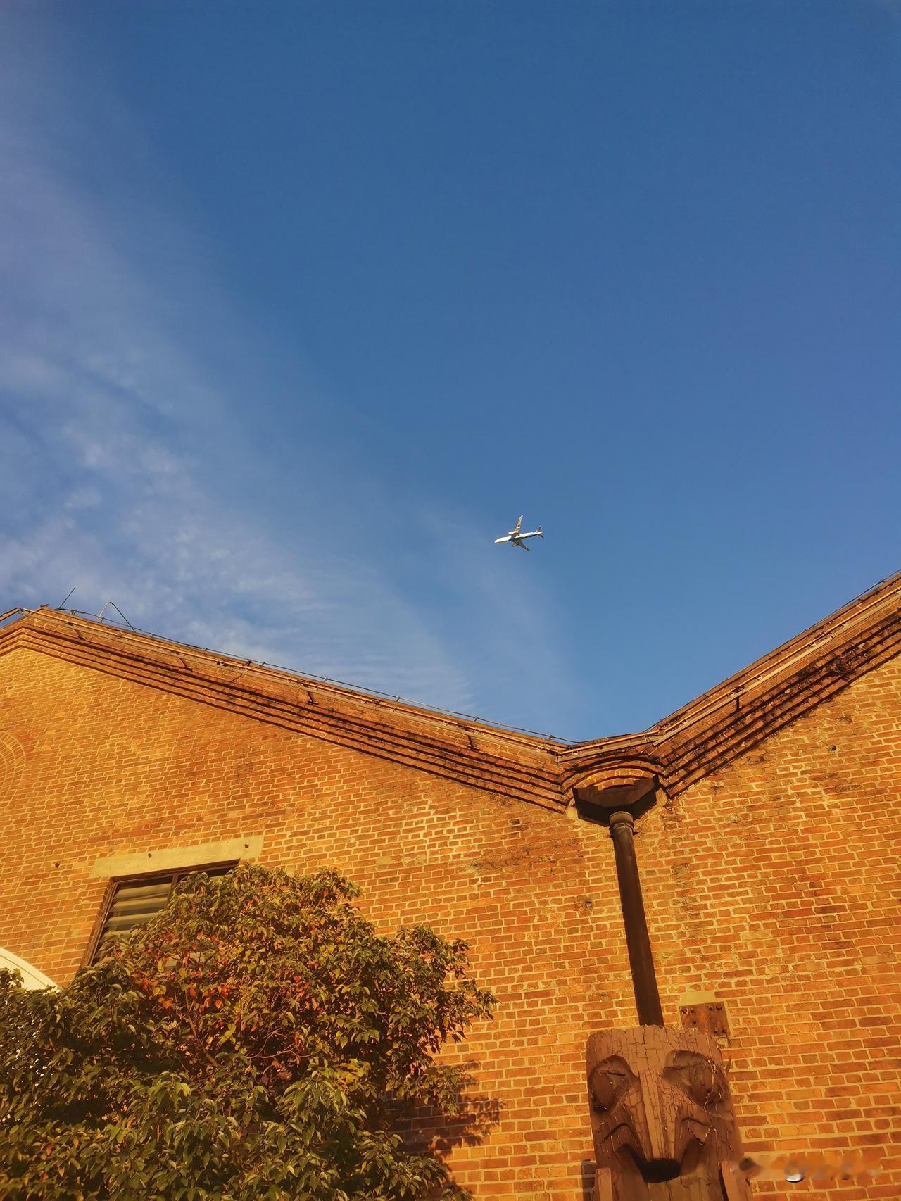 11月，无疑是广东，当然也是广州最好的月份了。阳光明媚，碧空如洗，天气干爽。昨