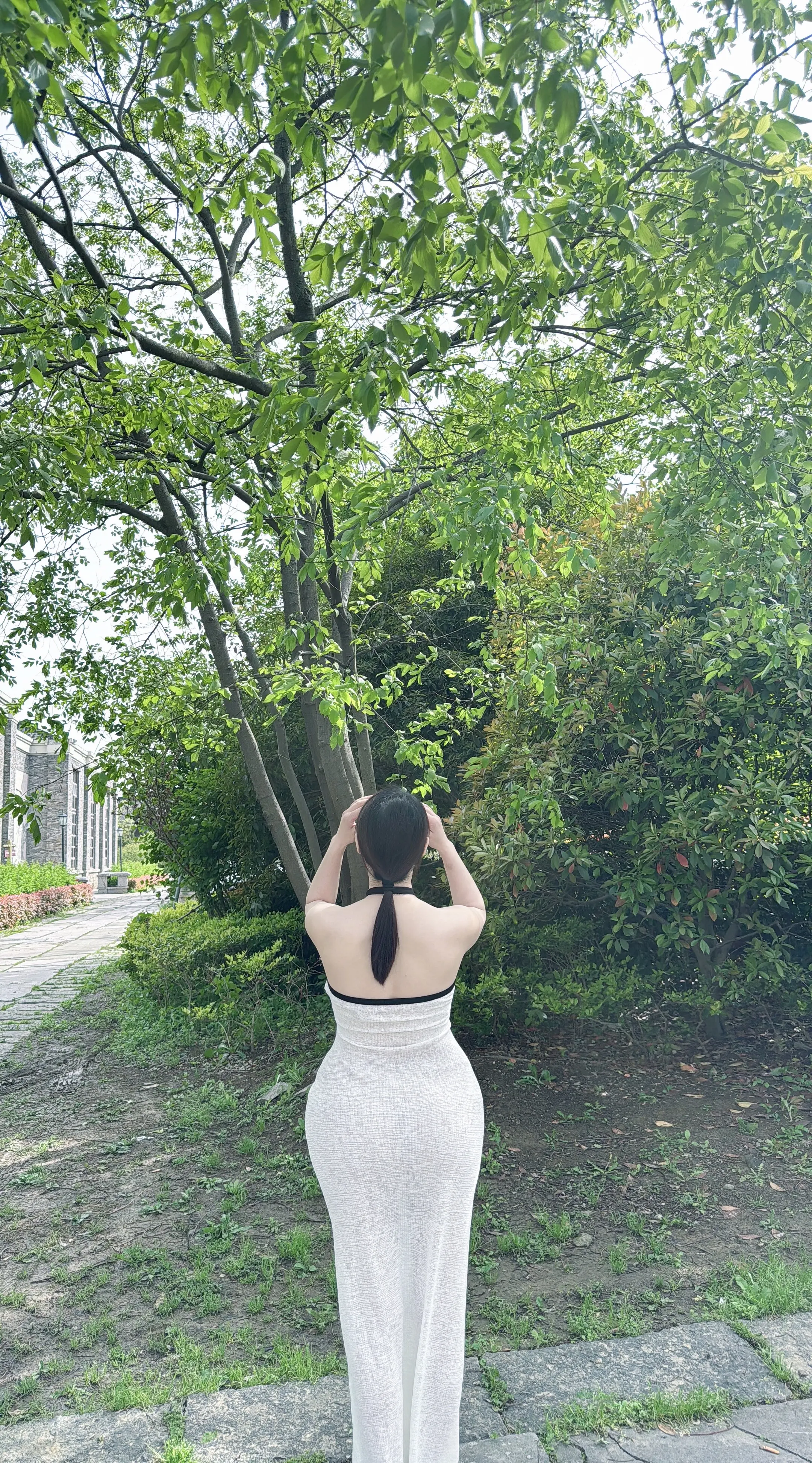 只有在春天里 才能拍出这么美吧