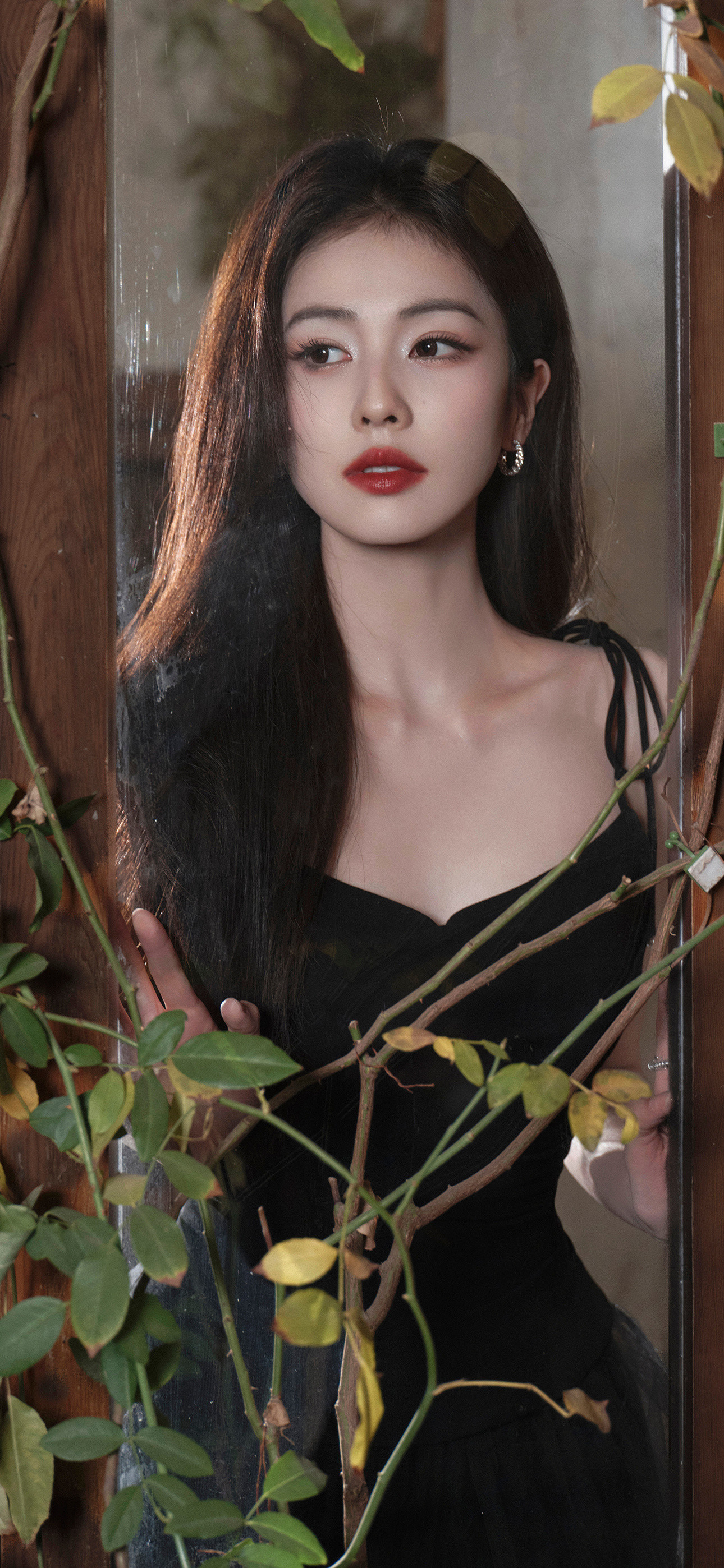 白鹿完全妈妈白鹿