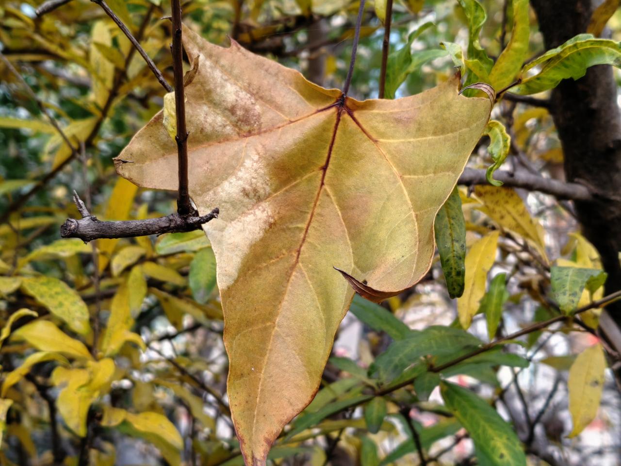俩班主任“焦躁”地聊天。一个班主任说，班里有学生把电钻带学校来了，收缴时学生态