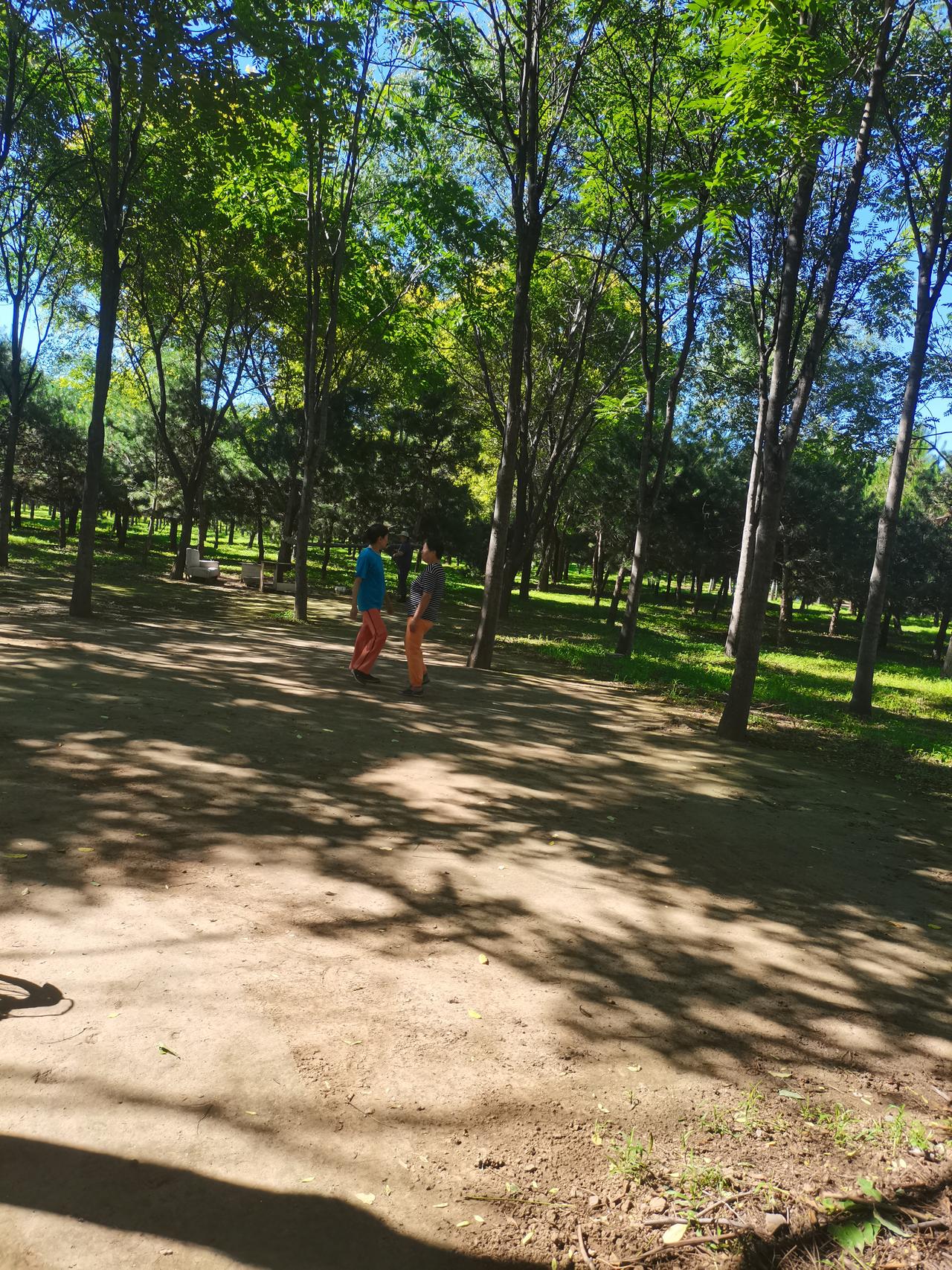 是否认同或支持中医？？做为祖传中医，我支持中医全国推广，由其是中医的武功技术，更