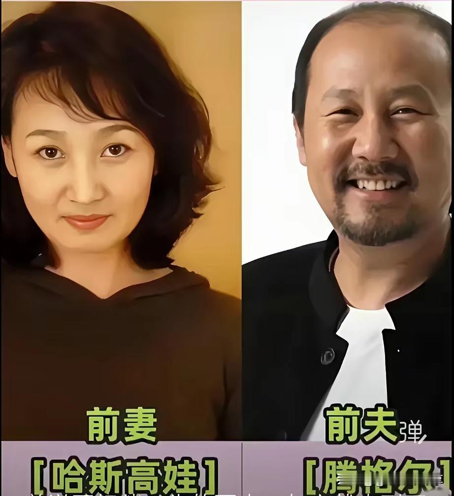腾格尔的前妻说实话还挺漂亮的，给人的感觉很舒服，只是两个人在一起，那毕竟要靠