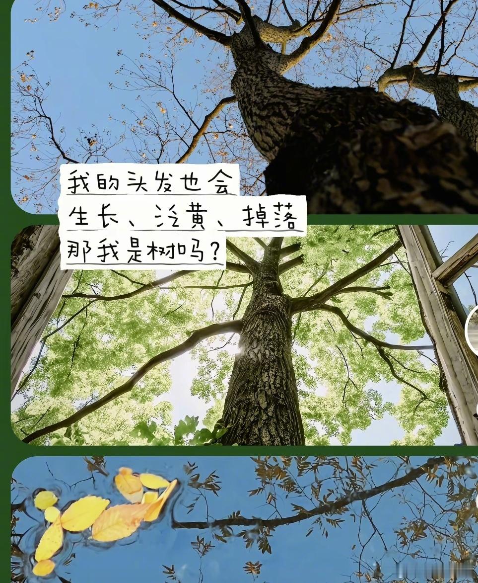 美的特别震撼的一句评论​​​