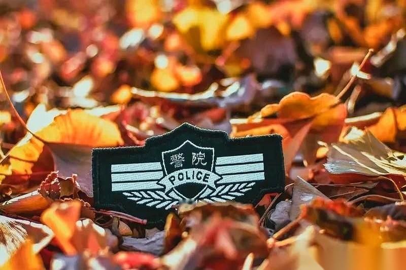 最近辅警圈里，都在传一件事。说2026年，要来一场大改革。最抓人的一条，是工