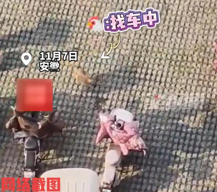 安徽有女子三轮车上出现鸡蛋。刚开始女子还在纳闷了，自己的三轮车上怎么会有鸡蛋