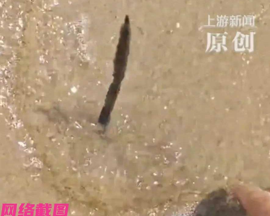 海南三亚有男子在海滩玩时，突然看到远处有个什么东西，跑近一看原来是一根锋利钢筋，