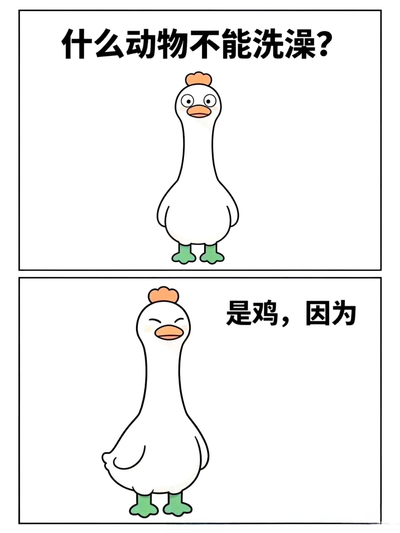 为什么是鸡呢？