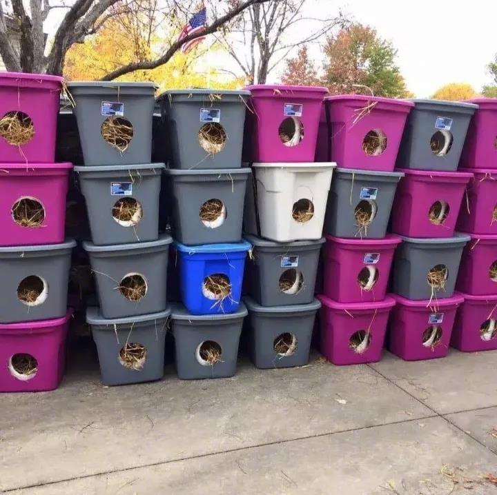 这是国外救助机构为流浪猫准备的猫窝，这个方法可以借鉴一下。塑料盒很容易买到，再挖