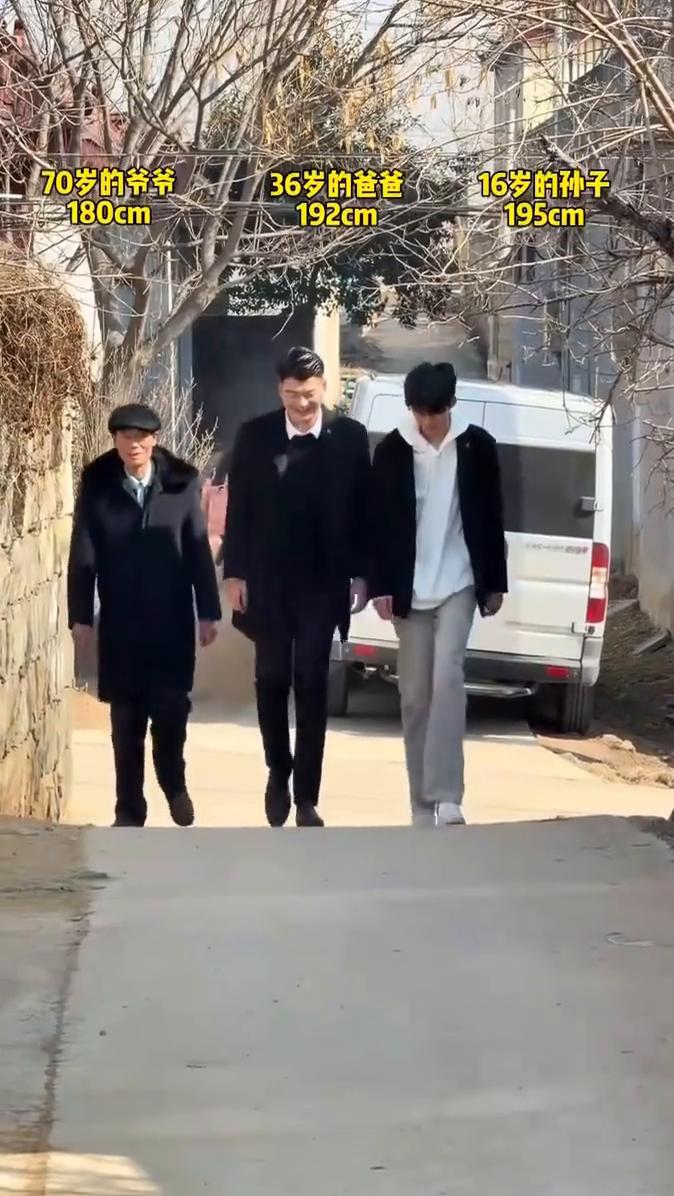 70岁的爷爷，16岁的孙子，36岁的爸爸。180cm，192cm，195cm。