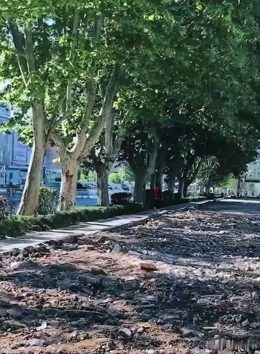 圆梦！大连桃源街20多年围挡拆了，老街瞬间通透敞亮！大连桃源街地铁旁围了20多