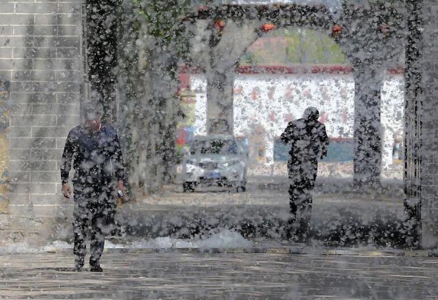 四月的河北，街头巷尾总会迎来一场“特殊降雪”——漫天杨絮白皑皑、轻飘飘，风一吹便