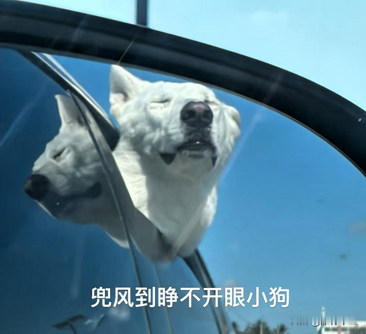 有人说：人如果过度的节俭，舍不得吃，舍不得穿，那你省下来的其实不是钱，而是一个廉