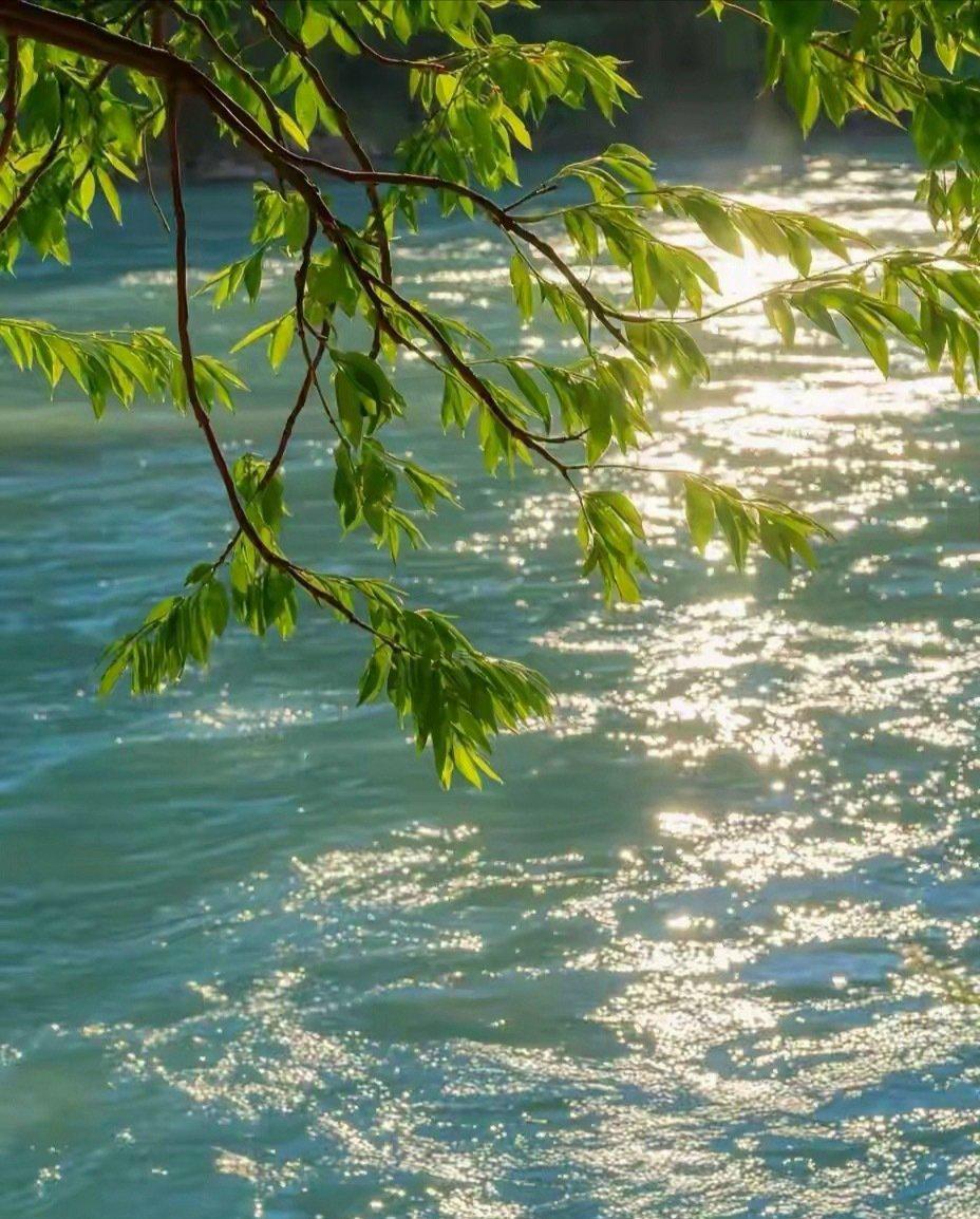 为什么很多年轻人不结婚不生孩，背后其实是社会发展阶段的必然，包括受教育程度提升带