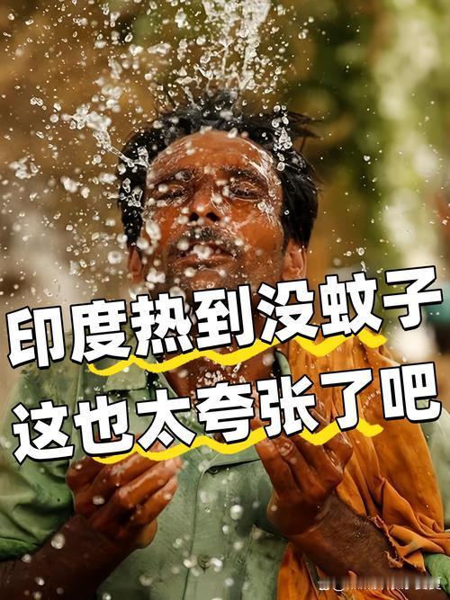 印度还适合人类居住吗？这也太热了全球50个最热城市齐聚印度，极端高温敲响人
