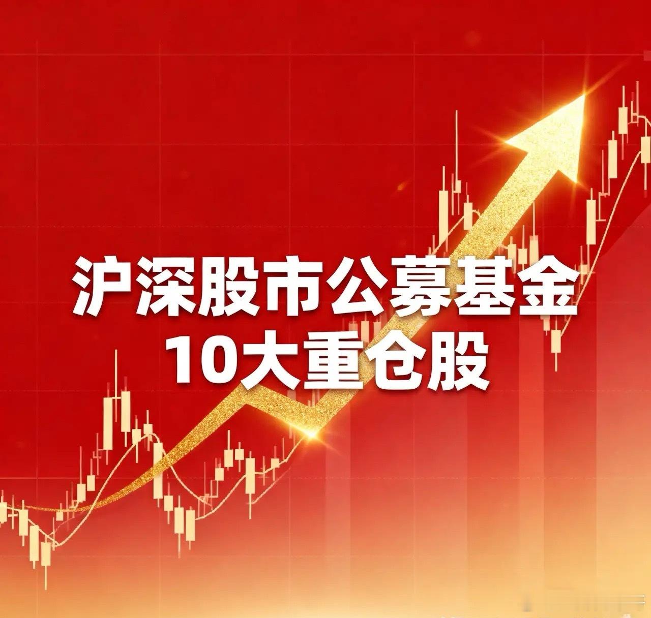 2025年沪深股市公募基金个10大重仓股：1、宁德时代基金持有股数：1.89亿股