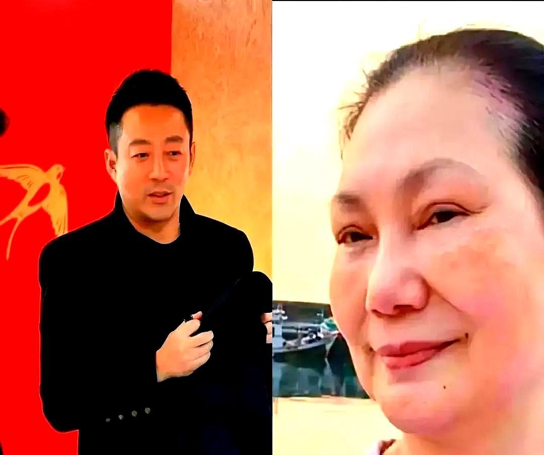 汪小菲抢孩子，具俊晔放弃10亿？我差点就信了，直到翻开张兰的直播间。剧本里