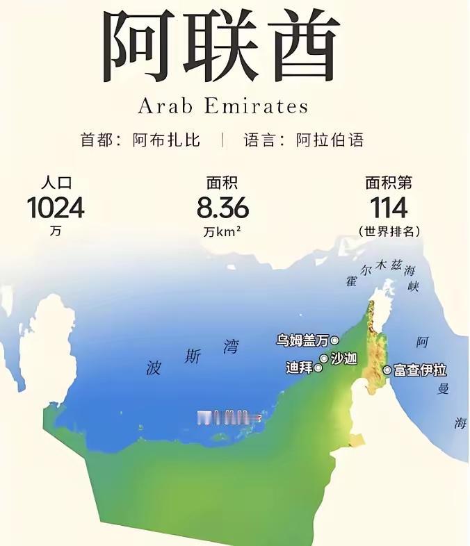 阿布扎比的王储来了。专机在北京降落的那一刻，这位酋长心里怕是不太好受。不是因为我