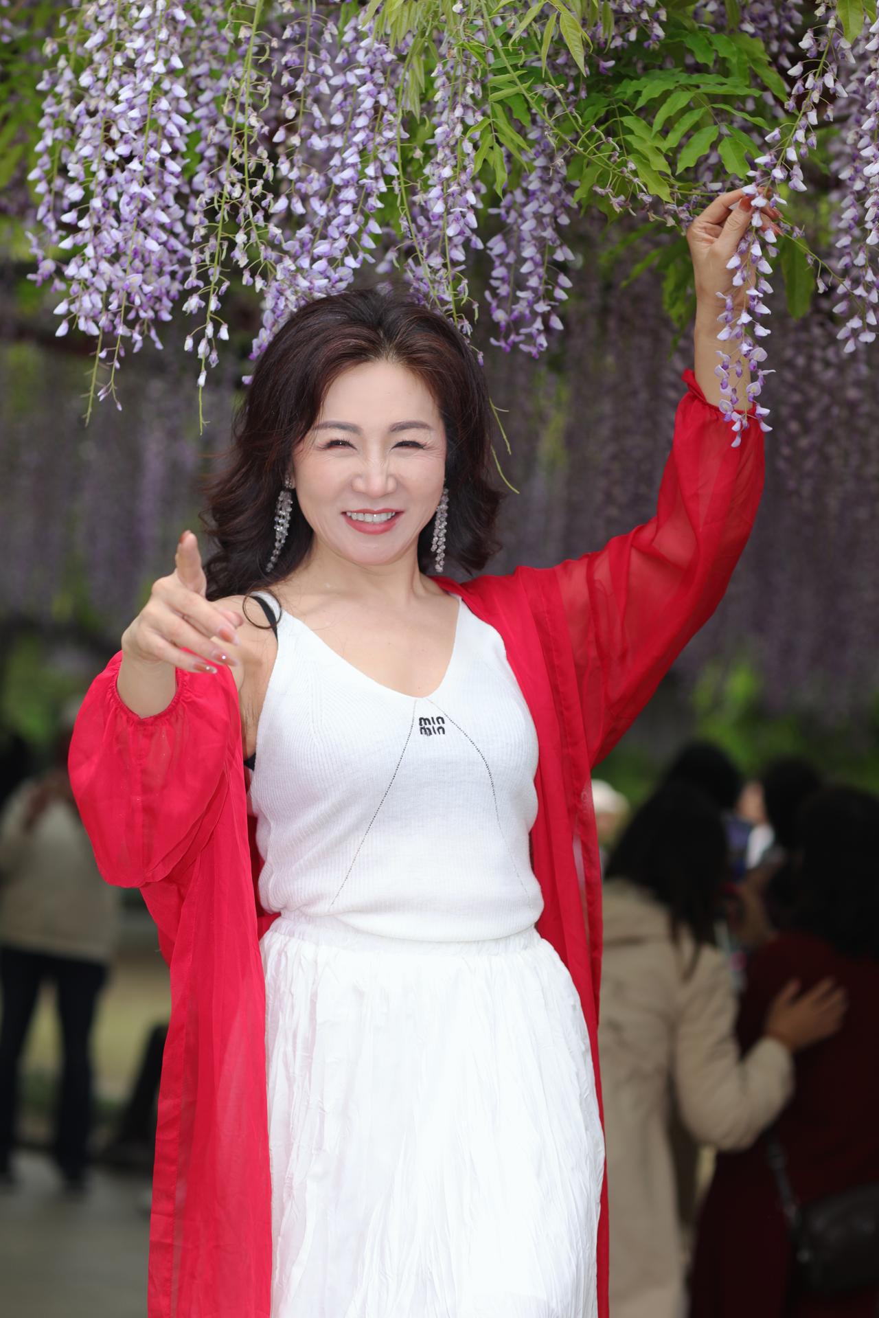 《紫藤花下的一抹红》春风拂过紫藤花架，垂落的花穗像紫色的瀑布，在暖阳里漾着温柔