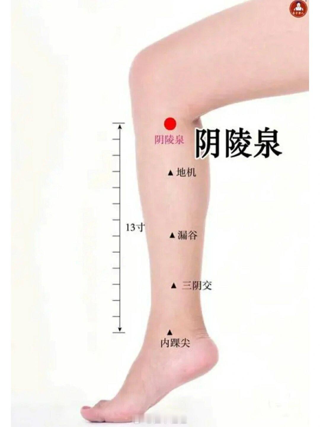 宫腔被水湿“裹住”，月经不能水利代谢，就重点压阴陵泉穴和水泉穴，当天就能感受到帮