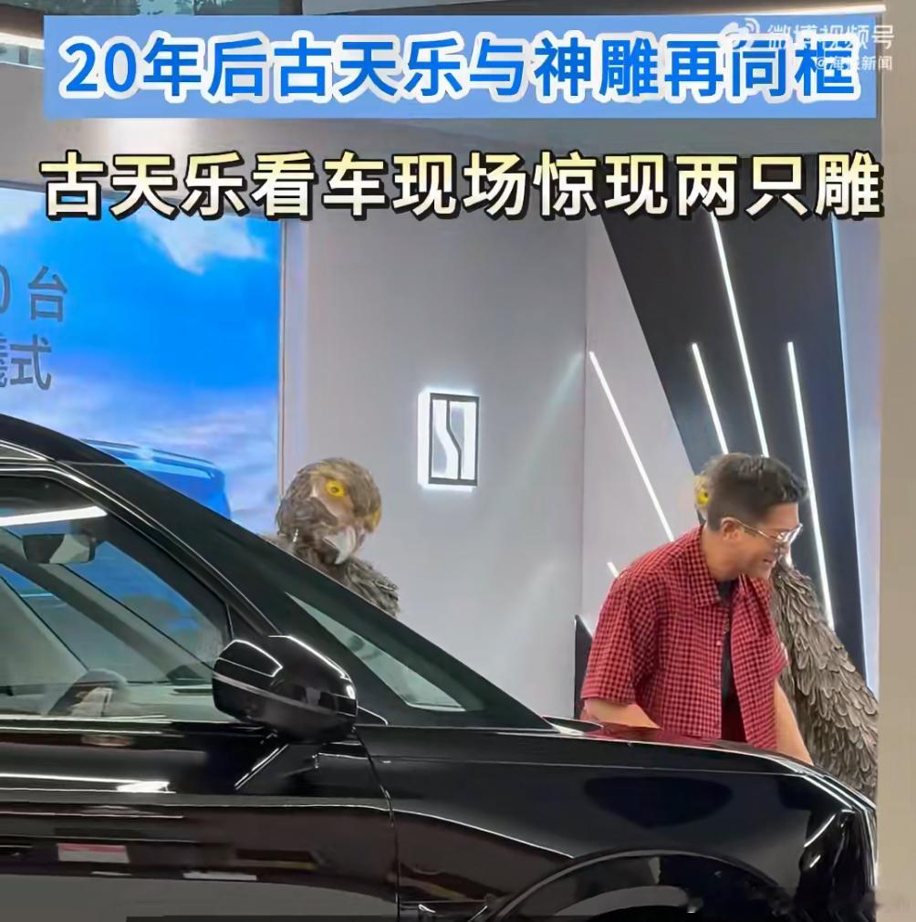 古天乐提车安排两只神雕……杨过吗渣渣辉提车会安排什么……是兄弟就砍我