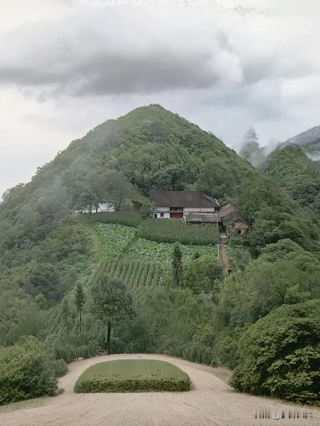 大山里发现一户人家，几代人独居山上80多年，种菜养鸡养鸭生活在世外桃源园，该房有