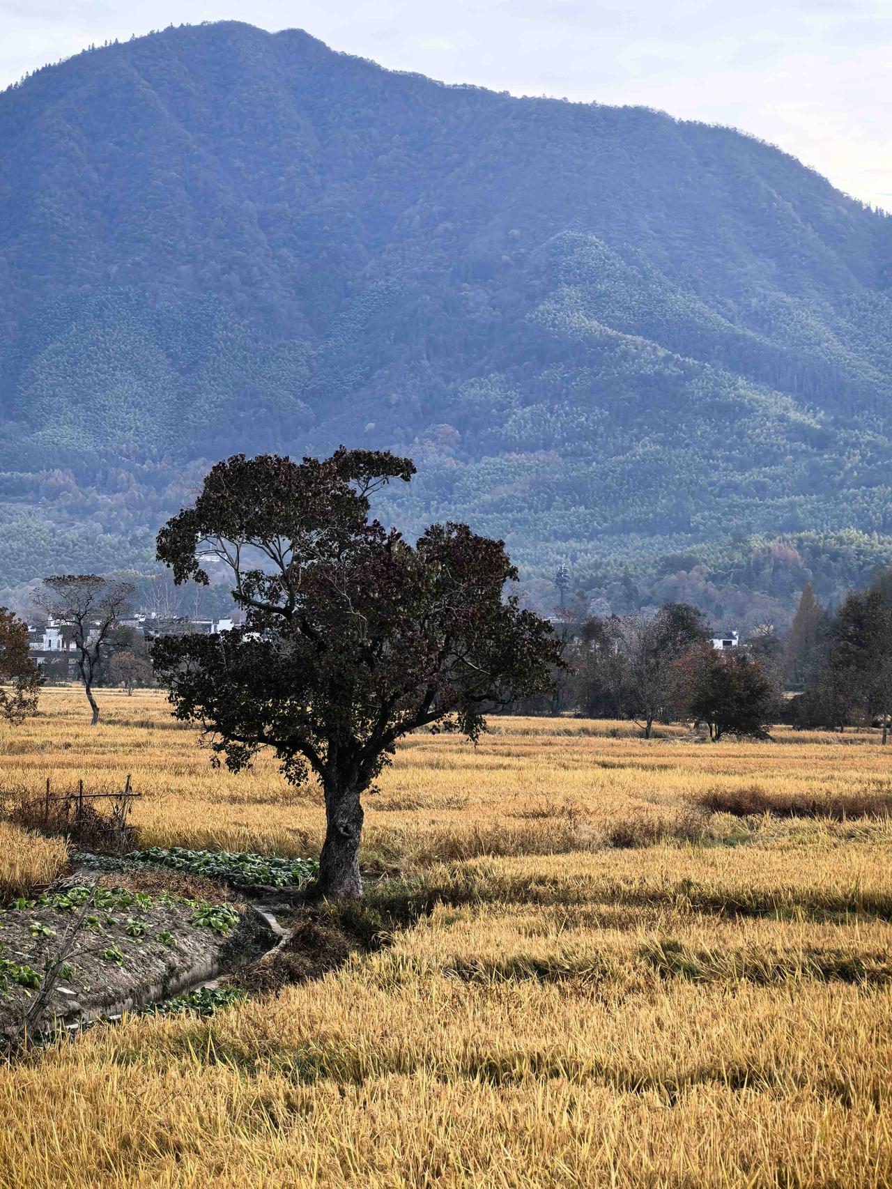 班上一个女生，平时学习非常用功的，但是这次的期中考试物理就考了19分，100分的