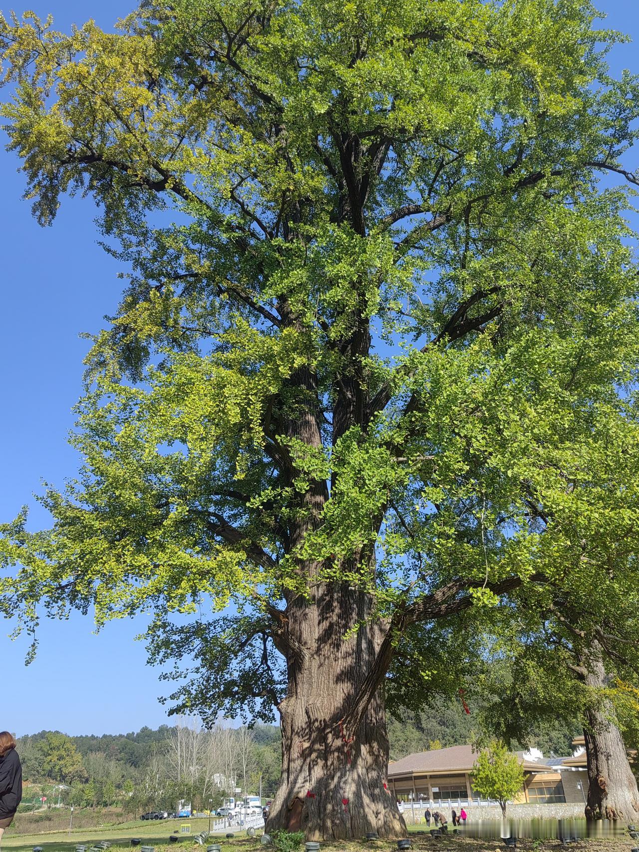 与朋友聊天，他说“人一旦过60岁，还在外打工，基本判断该人不一定幸福。”细想