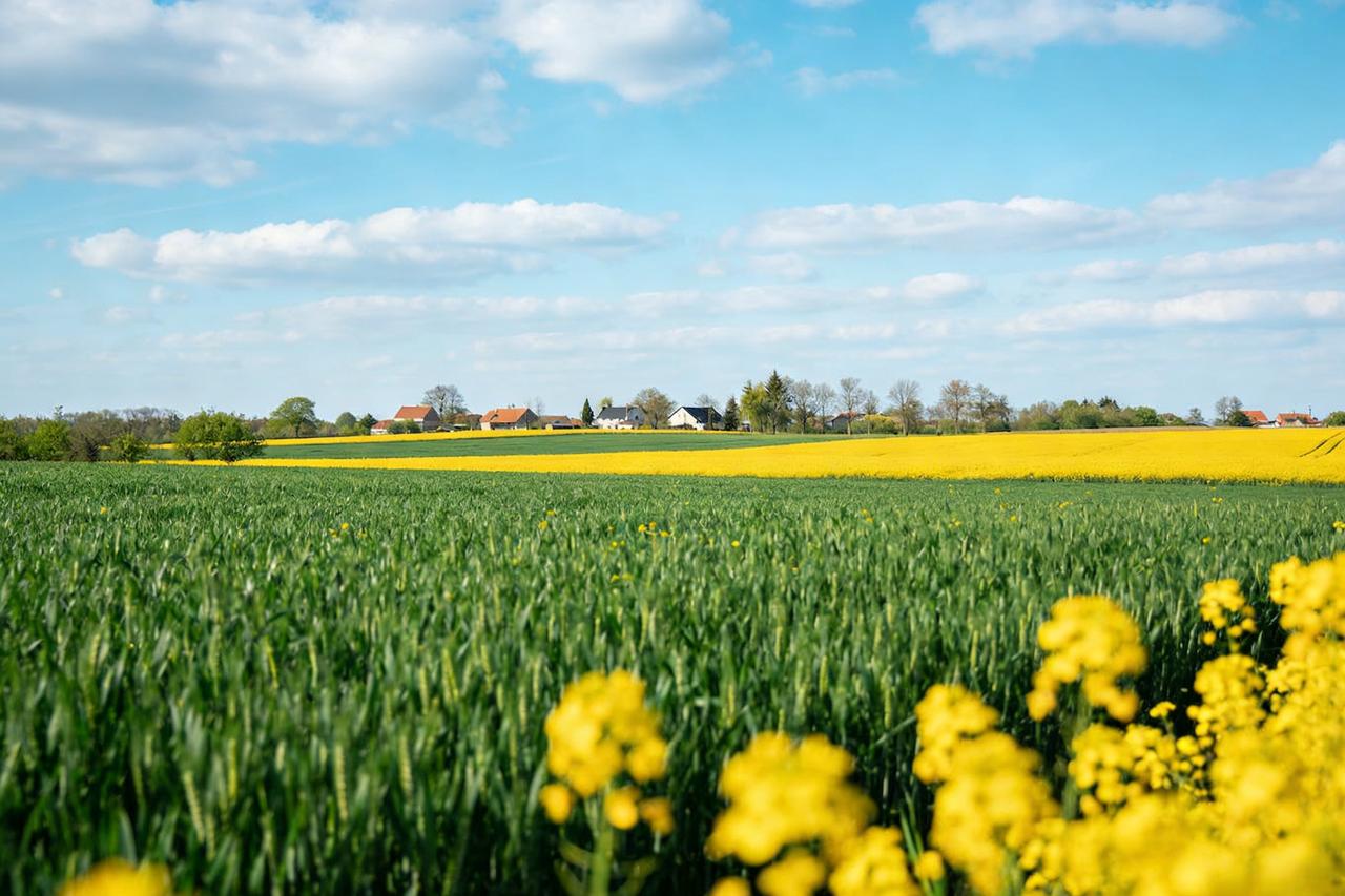 作家麦家说：“人一定要学会给别人去魅，去魅就是看透。你学历再高也跟我没有关系，