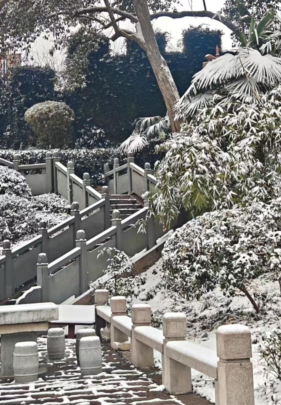 雪把园林的褶皱都填成素白，石栏、草木与石阶在寂静里，结出了冬的，禅意诗篇。🌿