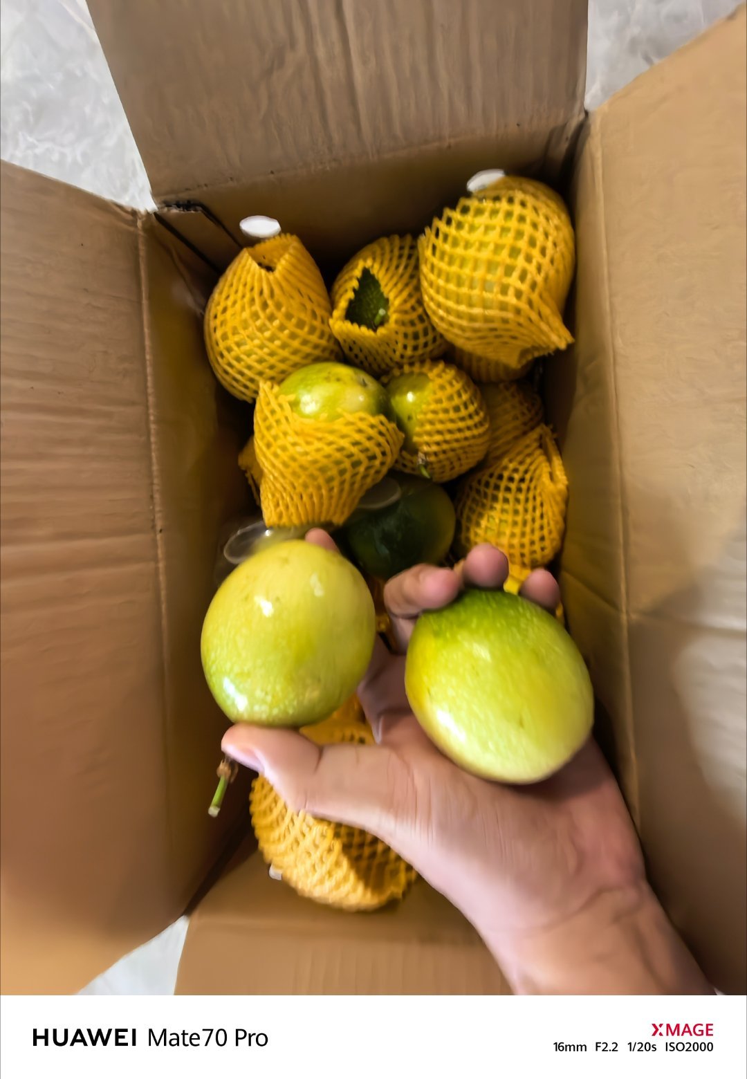 静态品鉴，顶级品质和包装[doge]​​​