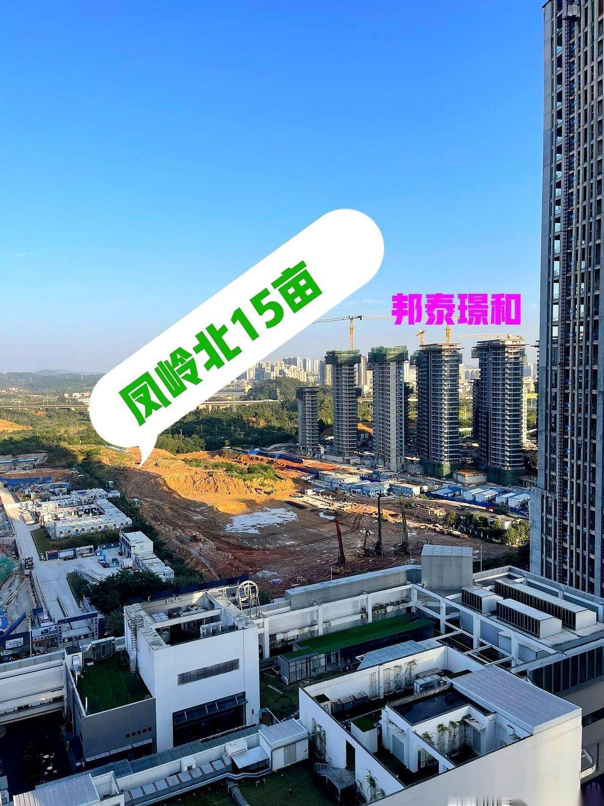 我看到消息的时候，脑子里就“嗡”一下。凤岭北，山姆会员店隔壁，容积率1.5。