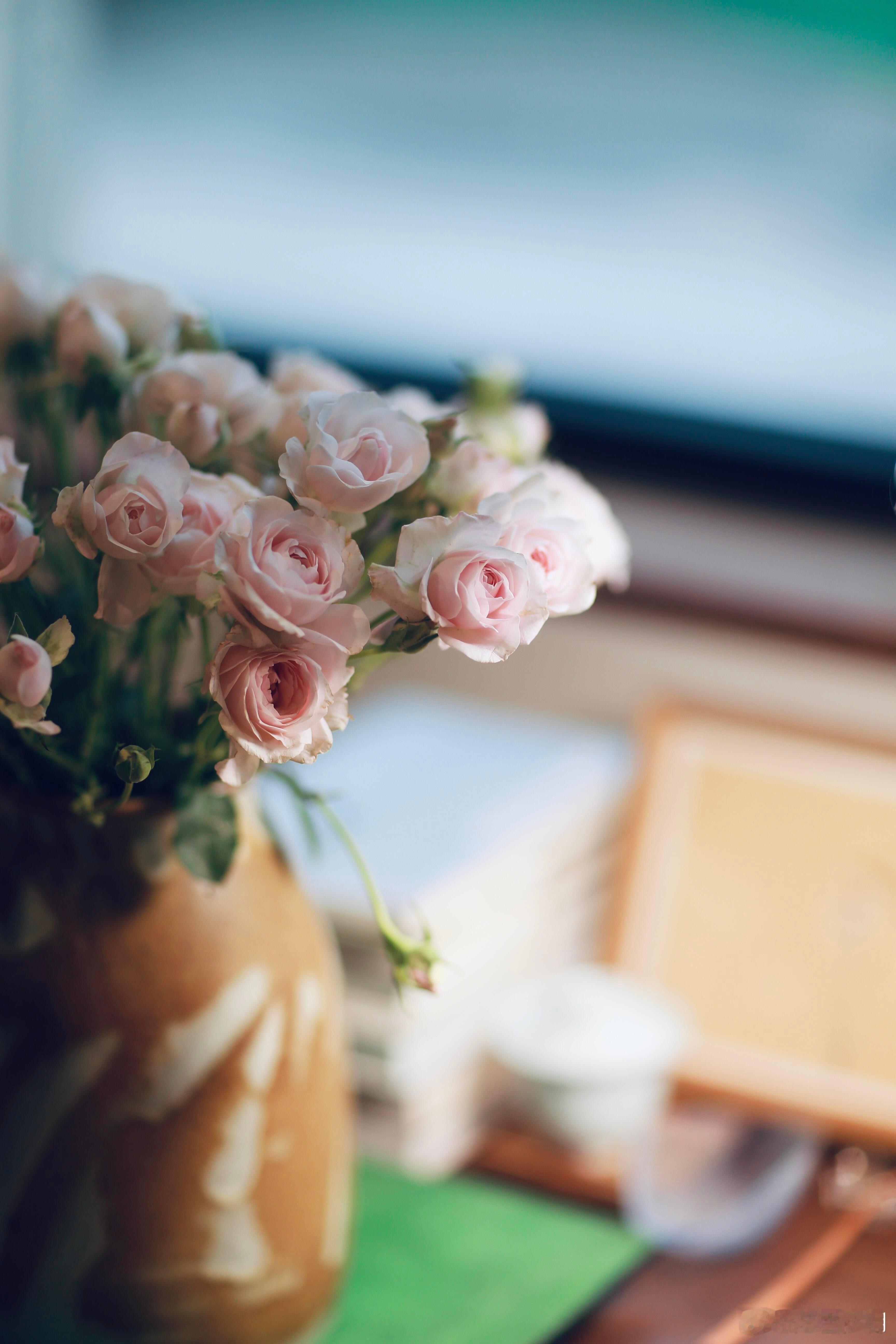 现在的孩子如果选择不结婚，可能父母最大的担忧就是怕孩子老了孤单。可一旦结了婚，也