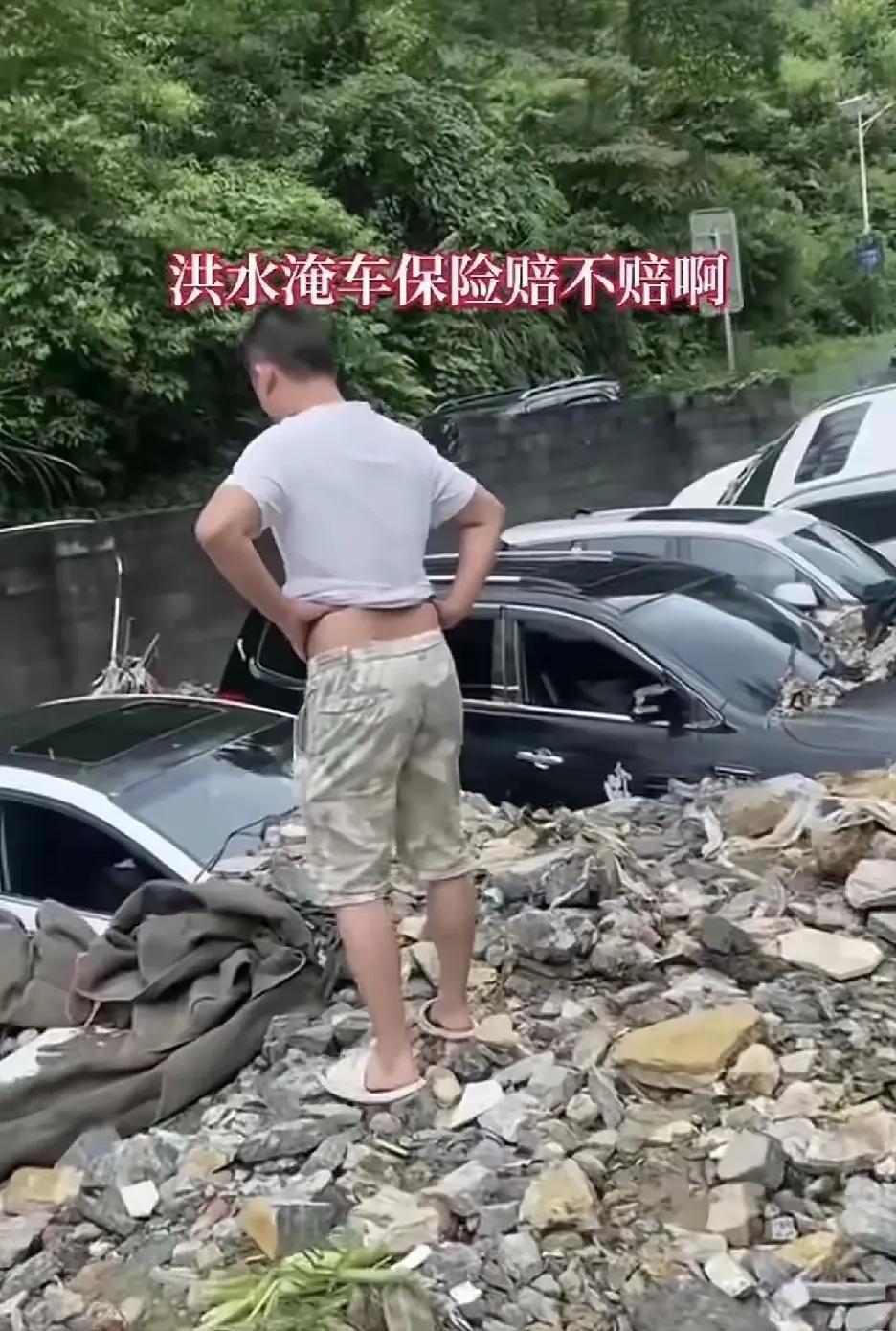 保险说，这个我可不赔！没有我能陪的！