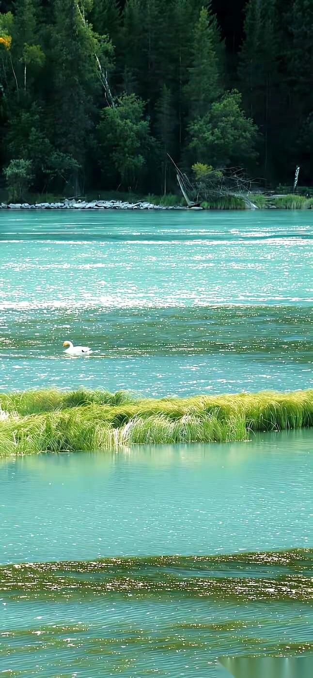 一位医生撂下一句话：男人那条看不见的“健康斩杀线”，就是勃起功能障碍。它根本不