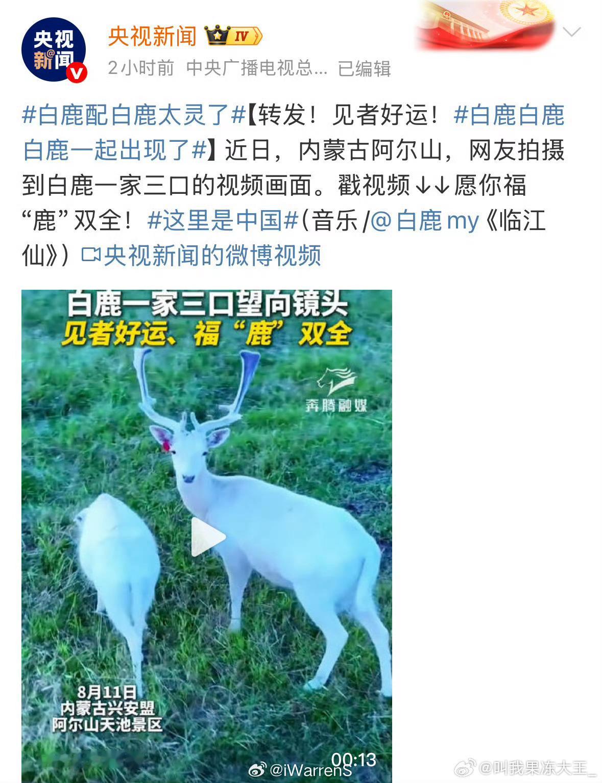 央视新闻发了白鹿唱的临江仙配乐🤩🤩白鹿配白鹿太灵了​​​