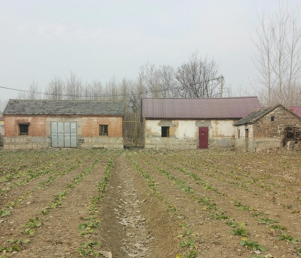 大堂哥你好吗，你打工离家已经20多年了，一直没有音信。前年大爷大妈也先后去