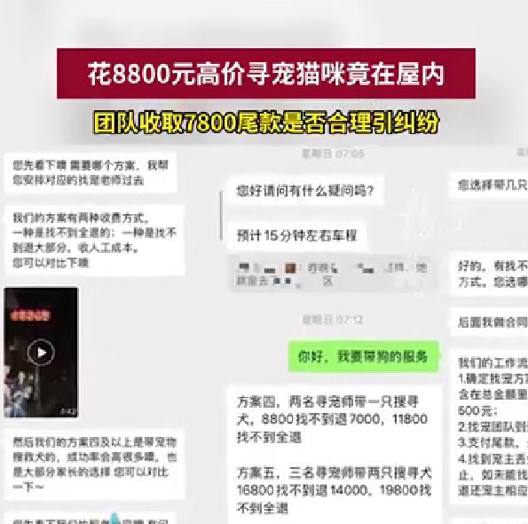 女子花8800寻猫，猫没丢退款却遭拒，高价寻宠竟藏霸王条款上海陈女士最近太闹心