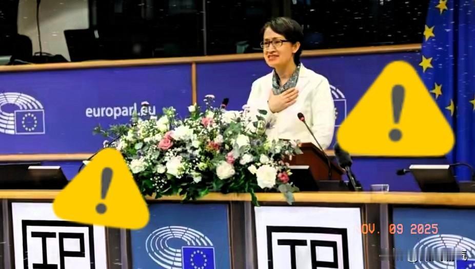 🔥萧美琴在布鲁塞尔欧洲议会发表演讲，鼓吹‘台海是一个蓬勃发展的民主国家’，叫嚣